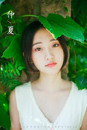 惊爆！欧美片《高级艳妇BD》究竟藏着什么秘密？数字解密！